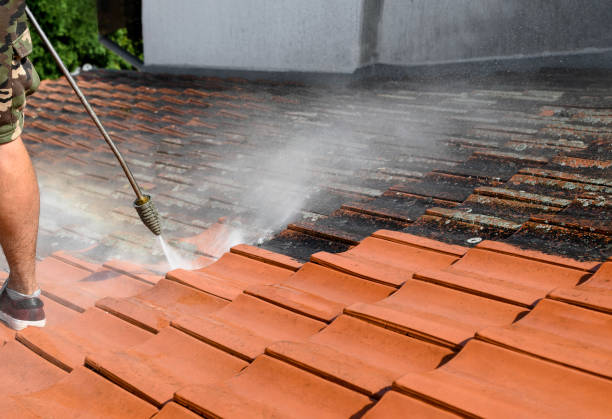 Best Fence Pressure Washing  in Denham Springs, LA