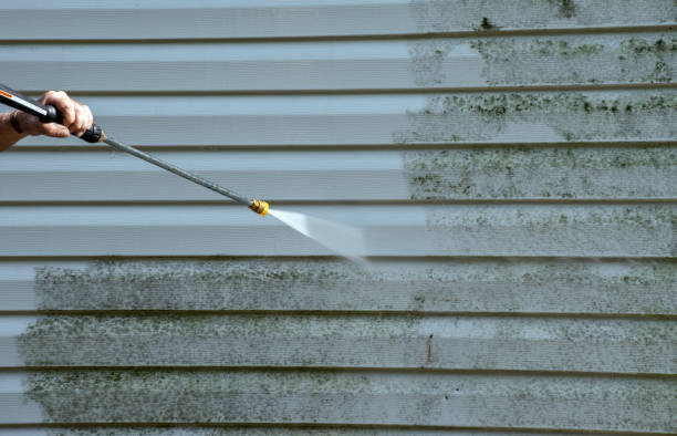 Professional Pressure Washing in Denham Springs, LA