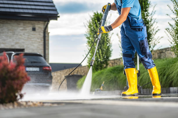 Best Roof Pressure Washing  in Denham Springs, LA